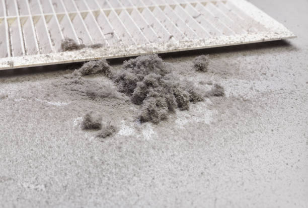 Best Local Air Duct Cleaning Services  in , NC